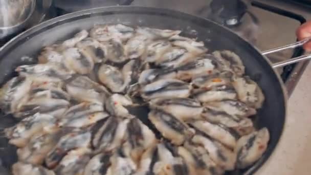 アンチョビの魚がストーブの上で調理され 鍋でアンチョビを調理され トルコ風の鍋でアンチョビ — ストック動画