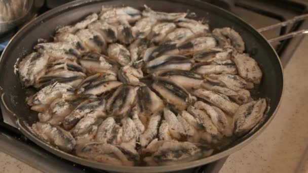 Fisch Der Pfanne Kochen Sardellen Der Pfanne Zubereiten — Stockvideo