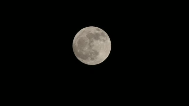 Pełnia Księżyca Pochmurną Noc Chmury Księżyc Pełnia Księżyca Chmury — Wideo stockowe