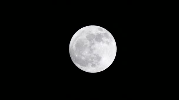 Luna Llena Brillante Noche Oscura Noche Luna — Vídeo de stock