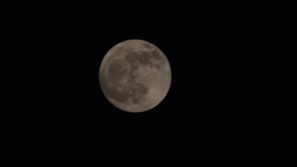 Pełnia Księżyca Ciemnej Nocy Chmury Ruchu — Wideo stockowe
