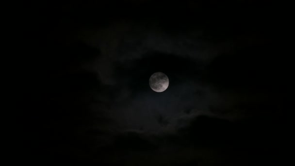 Noite Lua Lua Cheia Brilhando Céu Noite — Vídeo de Stock