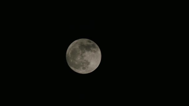 Luna Llena Una Noche Nublada Nubes Luna Luna Llena Nubes — Vídeos de Stock