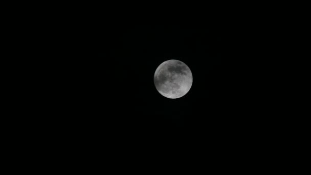 Vollmond Der Dunklen Nacht Und Wolken Bewegung — Stockvideo