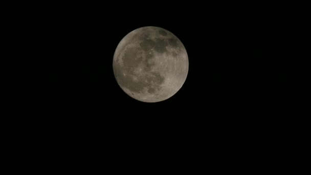 Pełnia Księżyca Pochmurną Noc Chmury Księżyc Pełnia Księżyca Chmury — Wideo stockowe