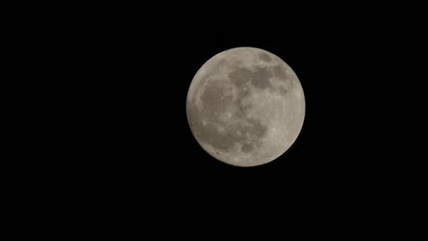 Luna Llena Noche Oscura Nubes Movimiento — Vídeo de stock