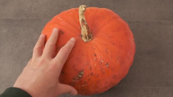 Pumpa Fransk Pumpa Mörkorange Pumpa — Stockvideo