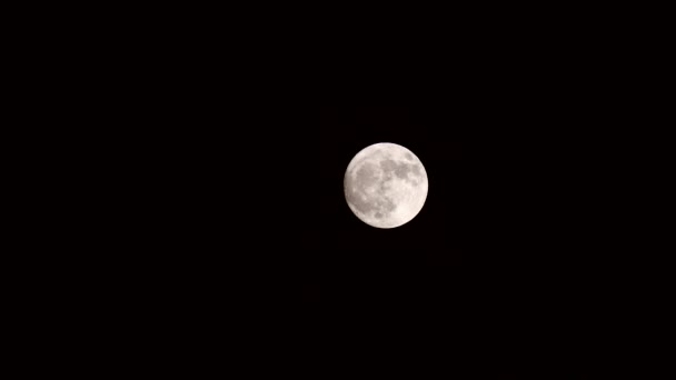 月亮在漆黑的夜晚闪耀 满月在漆黑的夜晚闪耀 — 图库视频影像