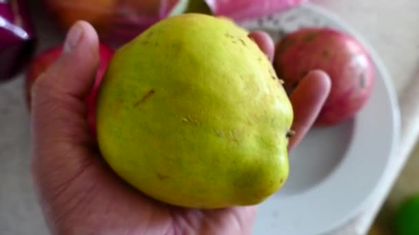 Hombre Está Girando Fruta Quince Mano — Vídeos de Stock