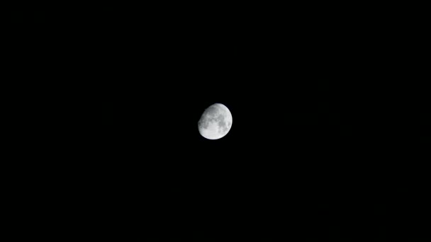 Vista Della Luna Nel Novembre Nell Emisfero Nord Luna Piena — Video Stock