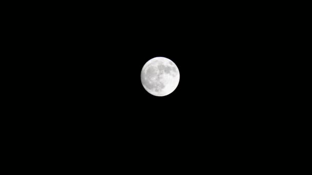 Vue Lune Novembre Dans Hémisphère Nord Pleine Lune Crépuscule — Video