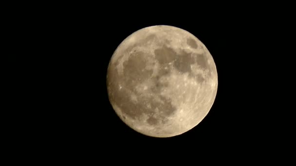 Vista Lua Novembro Hemisfério Norte Lua Cheia Anoitecer — Vídeo de Stock