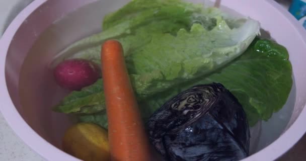 Інгредієнти Салату Миють Приготування Салатів Листків Капусти Моркви Редьки Миють — стокове відео