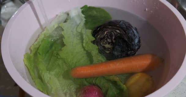 卷心菜 胡萝卜和萝卜 洗净后制成沙拉 — 图库视频影像