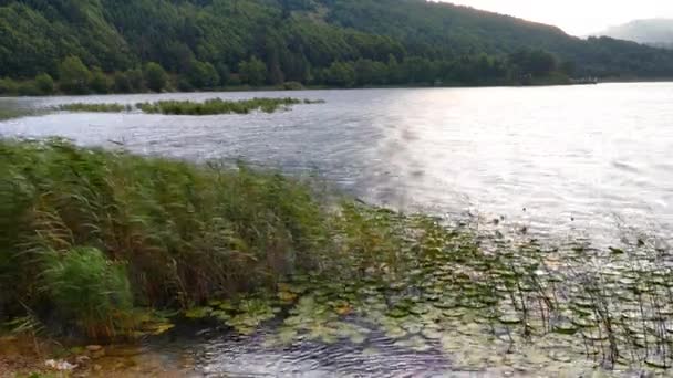 hors de l'air un jour Abant Lake, Abant Lake est situé dans la dinde ,