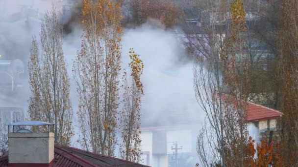 Stove Smoke Coming Out Chimneys Winter Stove Smoke Chimneys Polluting — Stock Video