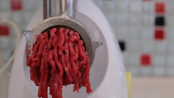 Darált Húsdarálók Vonzzák Finoman Darált Húsdarálókat — Stock videók