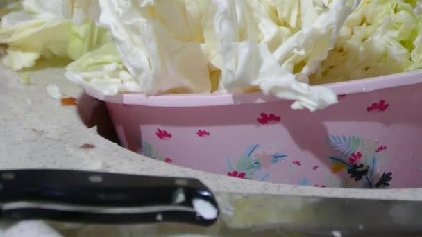 grand chou blanc sur le comptoir de cuisine,