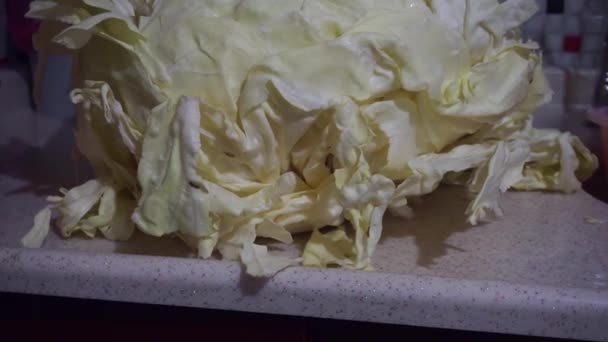 White Big Cabbage Stands Kitchen Counter — Stock Video