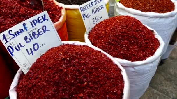 Dry Pepper Varieties Big Sack Dry Chili Peppers Turkish Style — Stock Video
