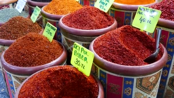 Dry Pepper Varieties Big Sack Dry Chili Peppers Turkish Style — Stock Video