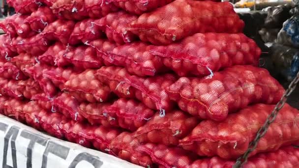 Cebollas Secas Una Red Roja — Vídeos de Stock