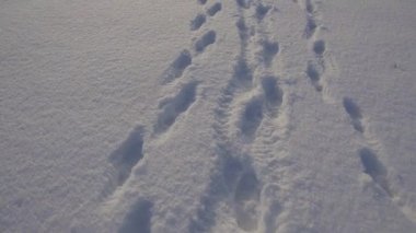 Karlı bölgede pek çok insan ayak izi, karda ayakkabı izleri.,
