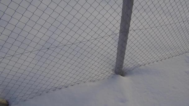 Eine Person Die Auf Dem Schnee Geht Und Eine Gitterbarriere — Stockvideo