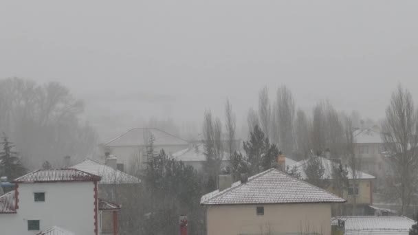Nevasca Pesada Uma Cidade Cidade Neve — Vídeo de Stock