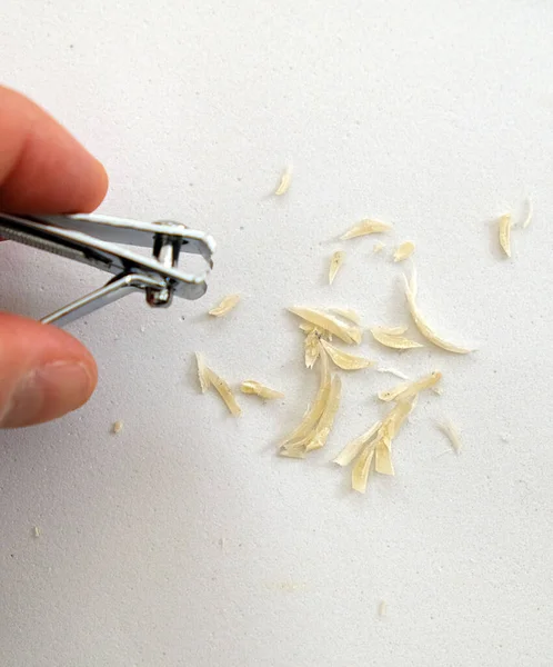 Uma Pessoa Que Corta Unhas Dos Pés Limpeza Unhas Chão — Fotografia de Stock