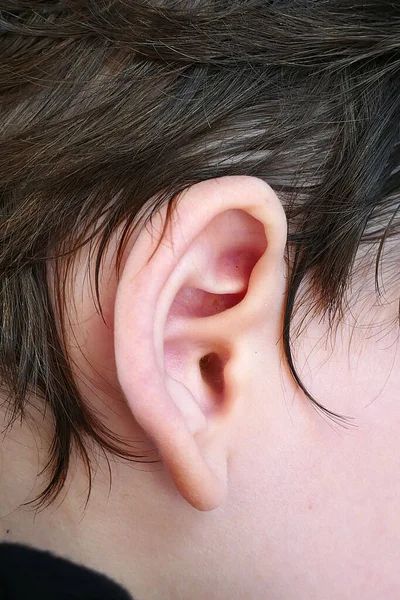 baby ear, ear infections in babies,little baby's ear,