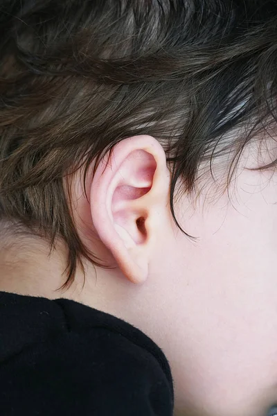 baby ear, ear infections in babies,little baby's ear,