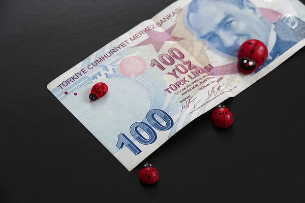 ladybug and 100 turkish lira banknote on black ground,luck and money, being lucky in making money,