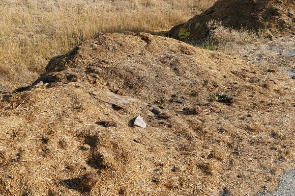 Nsanlar Yaşadıkları Çevreyi Kirletiyor Çürümüş Saman Kalıntıları — Stok fotoğraf