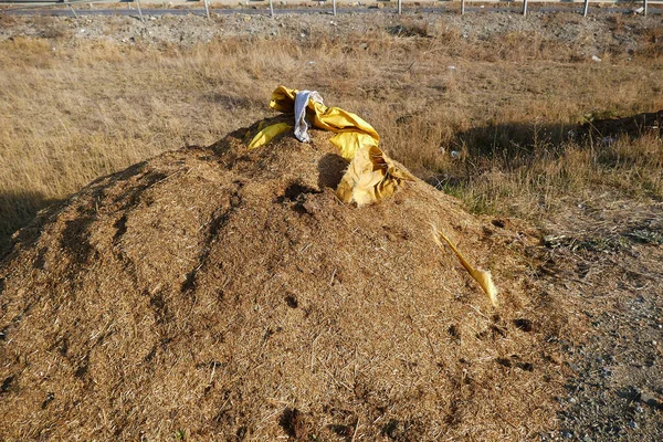 人々は自分の住む環境や腐った藁の残留物を汚染し — ストック写真