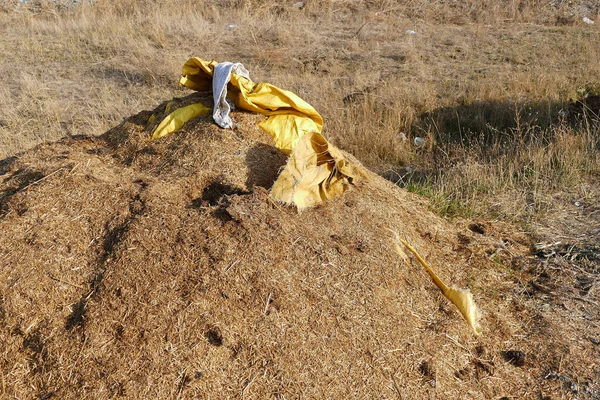 Nsanlar Yaşadıkları Çevreyi Kirletiyor Çürümüş Saman Kalıntıları — Stok fotoğraf