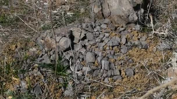岩石の断片化自然界の岩石の亀裂や崩壊 — ストック動画