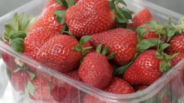 Primer Plano Fresas Frescas Caja Plástico Soporte Giratorio 360 Grados — Vídeo de stock