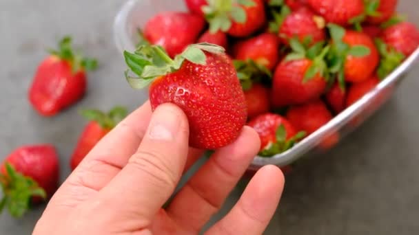 Menschliche Gesundheit Und Frische Erdbeeren Erdbeerfrucht Quelle Von Vitaminen — Stockvideo