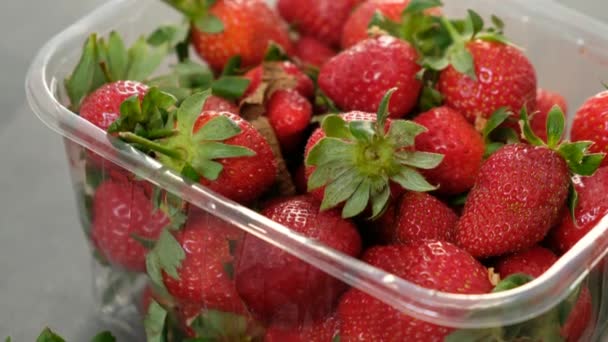 Frische Erdbeeren Kunststoffbox Auf Grauem Holzgrund — Stockvideo