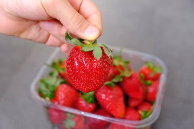 Gri ahşap arka planda, plastik kutuda 1 kilo taze çilek.