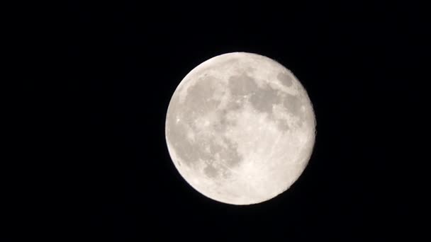 Volle Maan Schijnt Aan Hemel Bewegende Wolken Volle Maan — Stockvideo