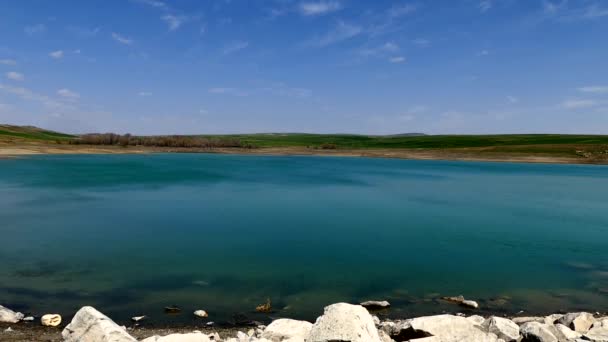 Sequía Sed Agua Potable Está Disminuyendo Calentamiento Global — Vídeo de stock