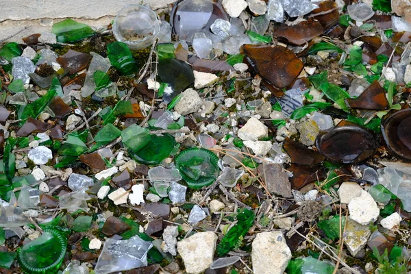 酒和啤酒瓶碎片 玻璃瓶碎片 人类污染自然 — 图库照片