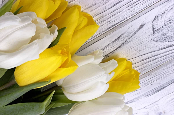 Yellow and white spring tulips on white wooden background. Place for text. Womans day. 8 March.