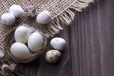 Çuval bezi üzerinde yuvadaki yumurta.