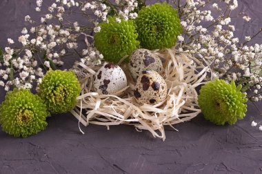 Paskalya dekorasyon, gri beton zemin üzerine yuvadaki yumurta.