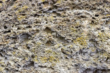 Kabuk kaya yapı taşları doku veya arka plan.