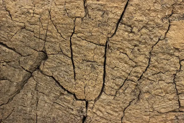 Крупним планом тепла текстура плоскої деревини з тріщинами . — стокове фото