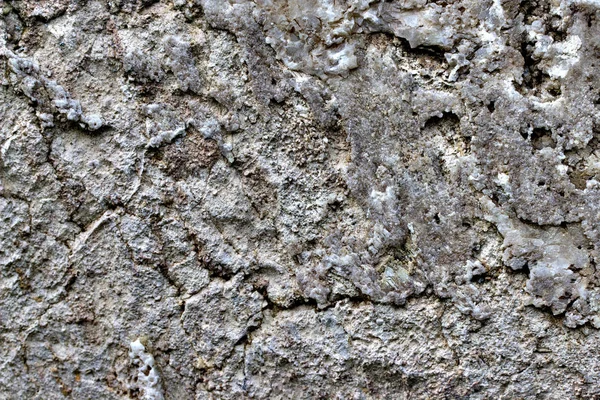 Gris textura de piedra superficie o fondo de cerca . — Foto de Stock